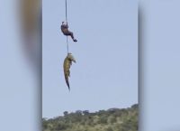 Νότια Αφρική: Κροκόδειλος κατασπάραξε ξενοδόχο – Είχε στο στομάχι του έξι ζευγάρια παπούτσια
