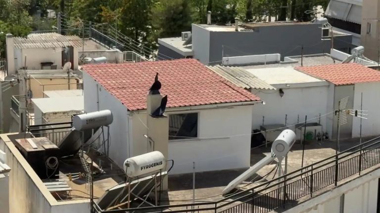 «Ήταν ατημέλητοι,δεν ήξερα αν τα παιδιά ήταν αγόρια ή κορίτσια»–Έγκυος και σε 7ο παιδί η μητέρα από Περιστέρι