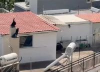 Περιστέρι:«Τα παιδιά 8 κ’ 9 ετών φορούσαν πάνες,ήταν σαν στρατιωτάκια»–Τι λέει γειτόνισσα για την οικογένεια