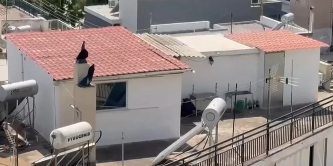 Περιστέρι:«Τα παιδιά 8 κ’ 9 ετών φορούσαν πάνες,ήταν σαν στρατιωτάκια»–Τι λέει γειτόνισσα για την οικογένεια