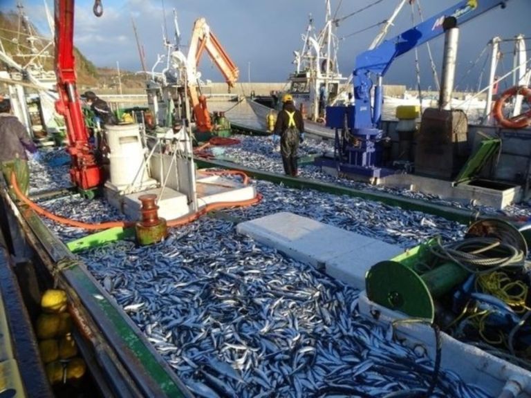 Η Μεγάλη Ληστεία των Ωκεανών: Πώς ο κόσμος εξαντλεί τα ψάρια του