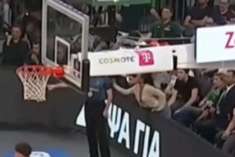 Παναθηναϊκός AKTOR: Το VIDEO με τη στιγμή που φίλαθλος τραβά το μανίκι του Παπαπέτρου [vid]