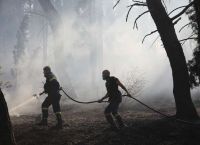 Φωτιά στα Βασιλικά Κέρκυρας – Σηκώθηκαν τρία εναέρια μέσα [vid]