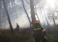 Πυρκαγιά στο Δερβένι Ωραιοκάστρου: Ένας νεκρός – Συνεχή μηνύματα από το 112
