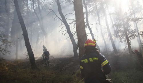 Συναγερμός για πυρκαγιές: Πολύ υψηλός κίνδυνος στην Αττική και σε 5 ακόμη περιφέρειες