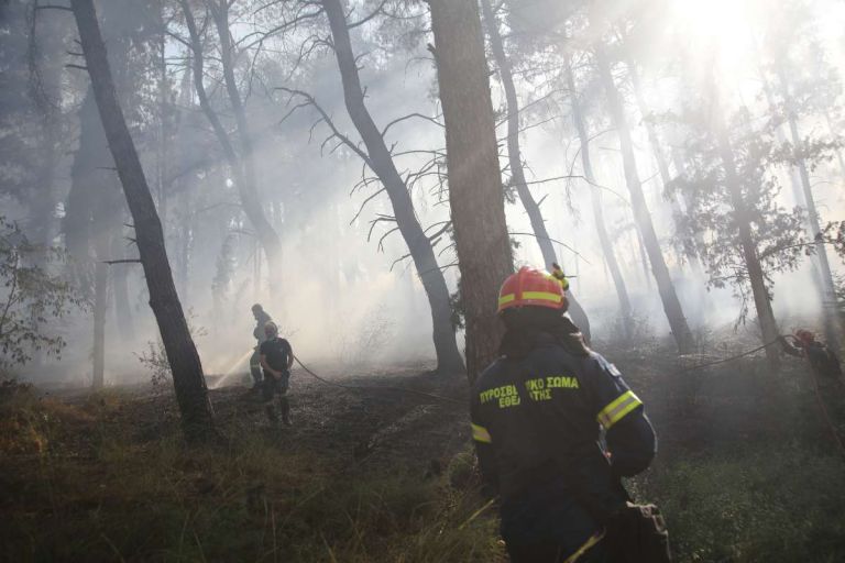 Συναγερμός για πυρκαγιές: Πολύ υψηλός κίνδυνος στην Αττική και σε 5 ακόμη περιφέρειες