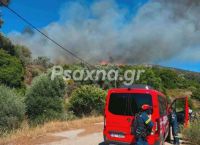 Φωτιά τώρα στην Εύβοια: Νέο μήνυμα 112 για εκκένωση – «Απομακρυνθείτε προς Στύρα»