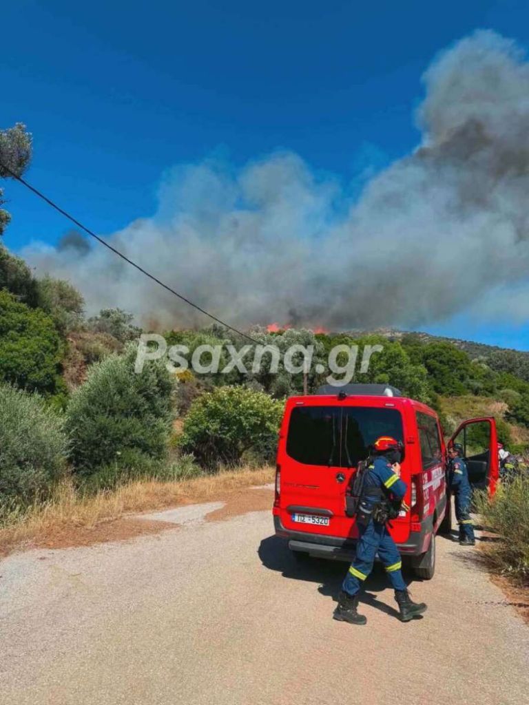 Φωτιά τώρα στην Εύβοια: Νέο μήνυμα 112 για εκκένωση – «Απομακρυνθείτε προς Στύρα»