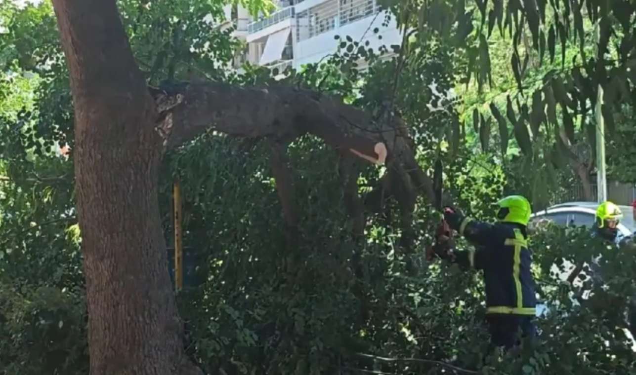 Σοβαρά προβλήματα από τους ανέμους στην Αττική – Δέντρα έπεσαν σε δρόμους, κατέρρευσε τοίχος