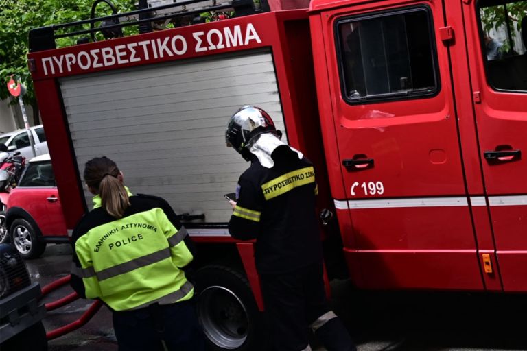 Φωτιά στην Εύβοια: Μεγάλη κινητοποίηση στο Σπαθάρι – Μάχη με τις φλόγες από ξηρά και αέρα