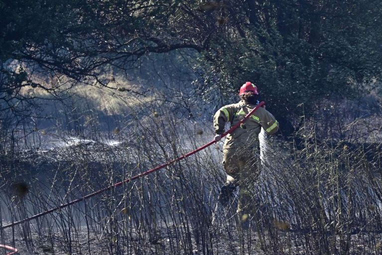 Φωτιά στον Ορχομενό Βοιωτίας – Κινητοποιήθηκαν 10 εναέρια μέσα