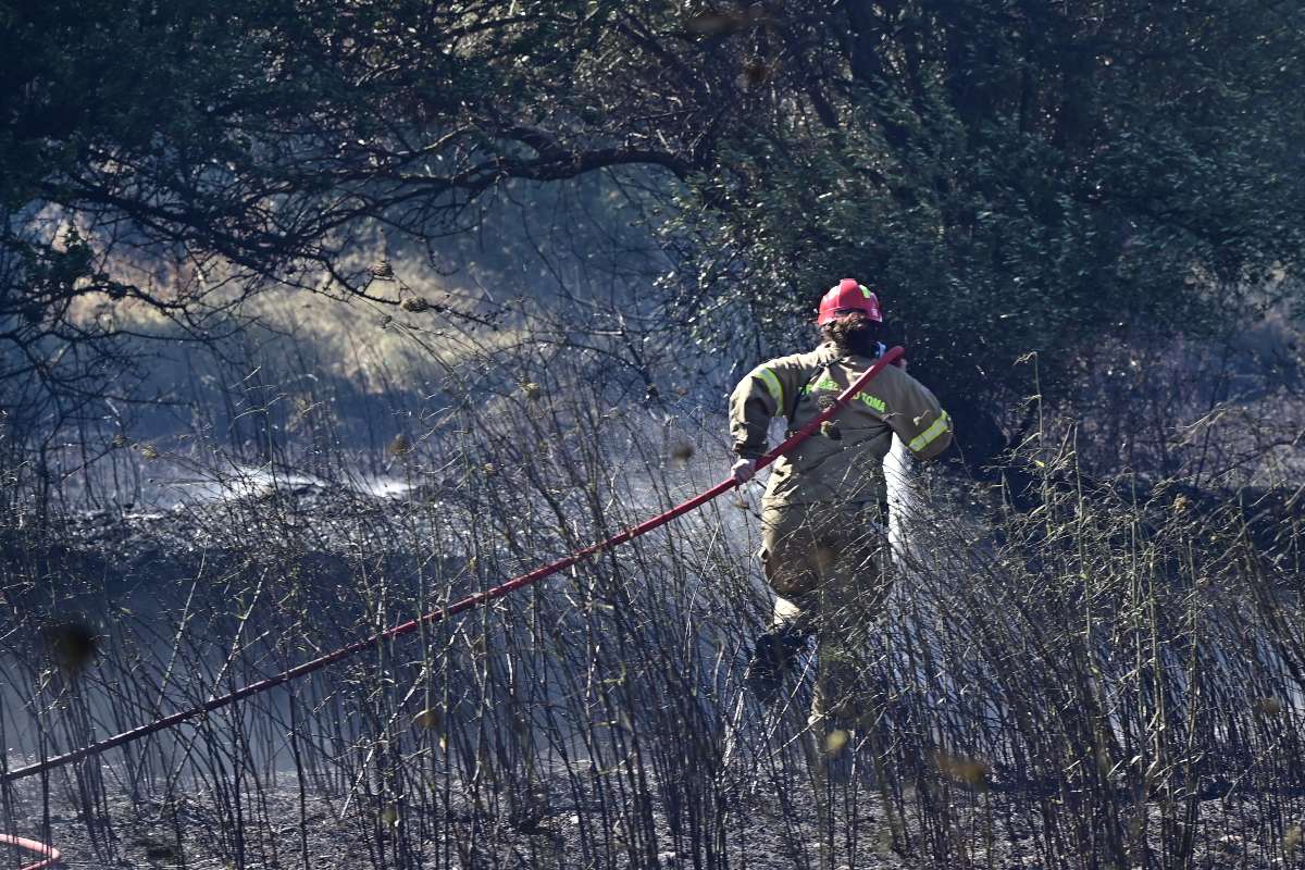 Φωτιά στον Ορχομενό Βοιωτίας – Κινητοποιήθηκαν 10 εναέρια μέσα