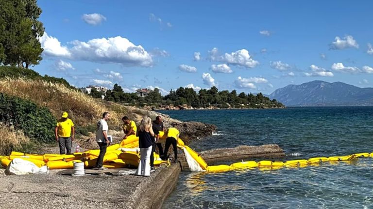 Πλωτά φράγματα για μέδουσες: Η λύση της Χαλκίδας και το μεγάλο «αλλά»