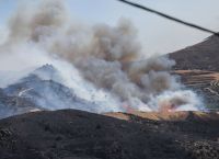 Φωτιά στο Ρέθυμνο: Παραδόθηκε στις φλόγες το φοινικόδασος της Πρέβελης [vid]