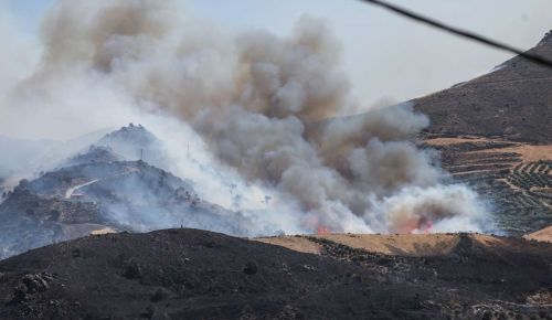 Φωτιά στο Ρέθυμνο: Παραδόθηκε στις φλόγες το φοινικόδασος της Πρέβελης [vid]
