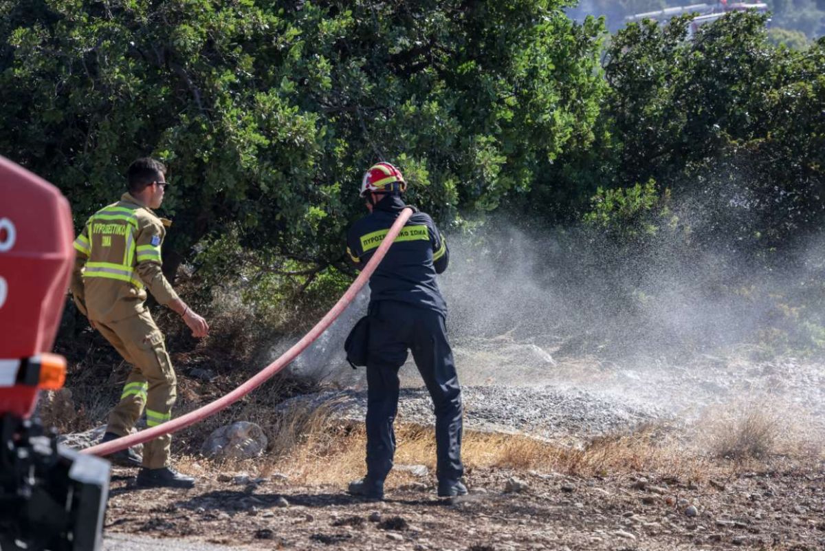 Πύρινος συναγερμός: Νέα φωτιά στη Βοιωτία, δύο μέτωπα στην Αχαΐα και μαίνεται η πυρκαγιά στο Ρέθυμνο