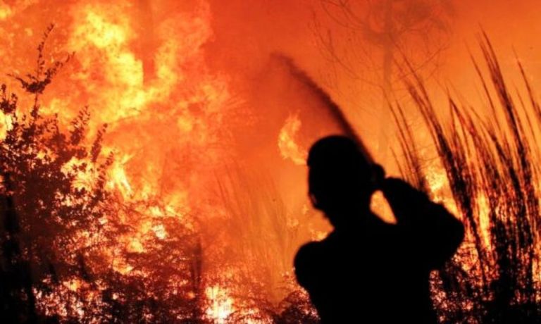Πυρκαγιές: Πάνω από το 10% των ετήσιων συλλήψεων σε μόλις πέντε ημέρες Ιουλίου