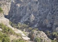 Ρέθυμνο: Περιορισμένες οι ζημιές στο Φοινικόδασος του Πρέβελη