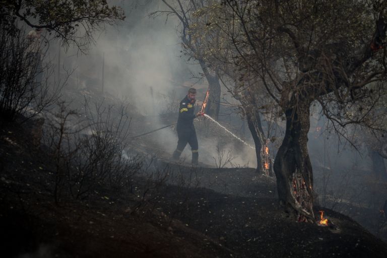 Πυρκαγιές: Ριπές ανέμου έως 100 χλμ./ώρα στο Ρέθυμνο – Καπνοί από την Τουρκία έφτασαν στο Αιγαίο