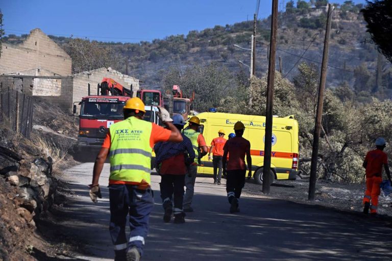 Φωτιά Αργολίδα: Σοβαρό εργατικό ατύχημα στα Φίχτια – Κορμός δέντρου καταπλάκωσε εργαζόμενο του ΔΕΔΔΗΕ