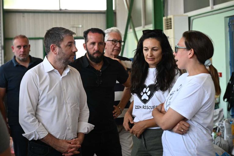 Ανδρουλάκης: Επισκέφτηκε τον σταθμό φιλοξενίας πυρόκληκτων ζώων στα Μέγαρα