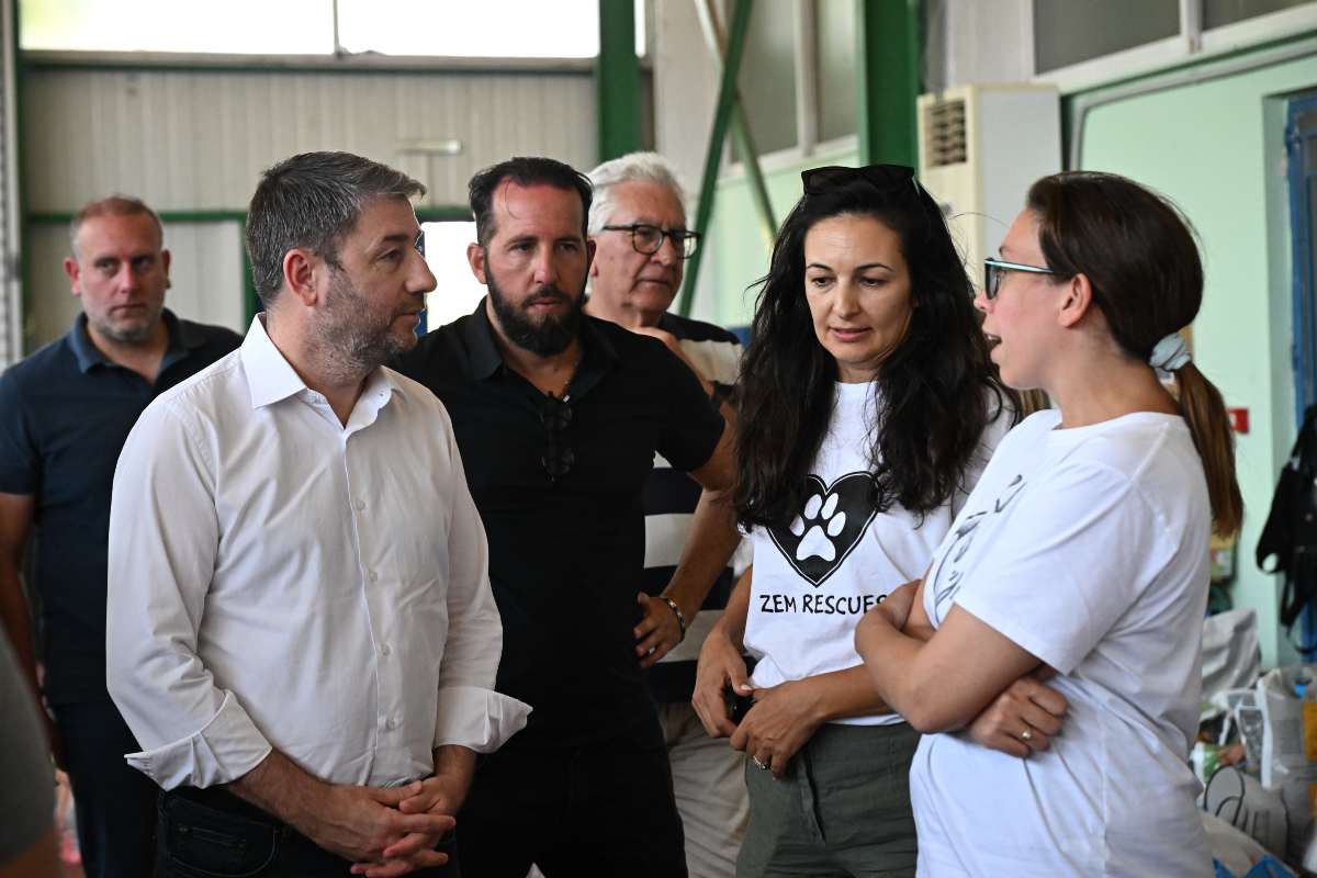 Ανδρουλάκης: Επισκέφτηκε τον σταθμό φιλοξενίας πυρόκληκτων ζώων στα Μέγαρα