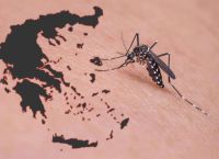 Ιός Δυτικού Νείλου: Καμπανάκι για την Αττική – Ο ΙΣΑ ζητά απαντήσεις και άμεσα μέτρα
