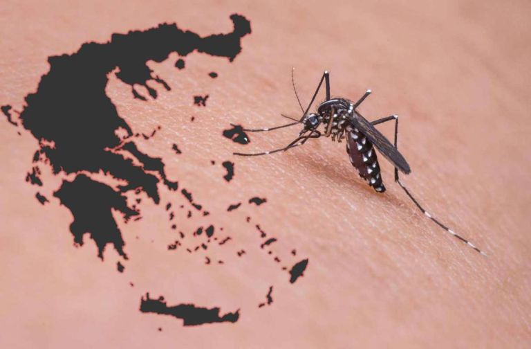 Ιός Δυτικού Νείλου: Καμπανάκι για την Αττική – Ο ΙΣΑ ζητά απαντήσεις και άμεσα μέτρα