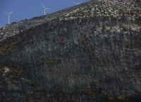 Ο Χαρδαλιάς βάζει «κόκκινη γραμμή»: Καμία ανεμογεννήτρια σε καμένες και αναδασωτέες εκτάσεις της Αττικής