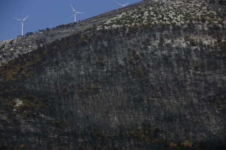Ο Χαρδαλιάς βάζει «κόκκινη γραμμή»: Καμία ανεμογεννήτρια σε καμένες και αναδασωτέες εκτάσεις της Αττικής