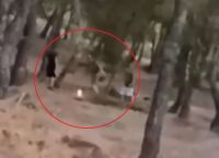 Τρομακτικό challenge ανηλίκων στα Βριλήσσια: Βάζουν φωτιά και μετά προσπαθούν να τη σβήσουν [vid]