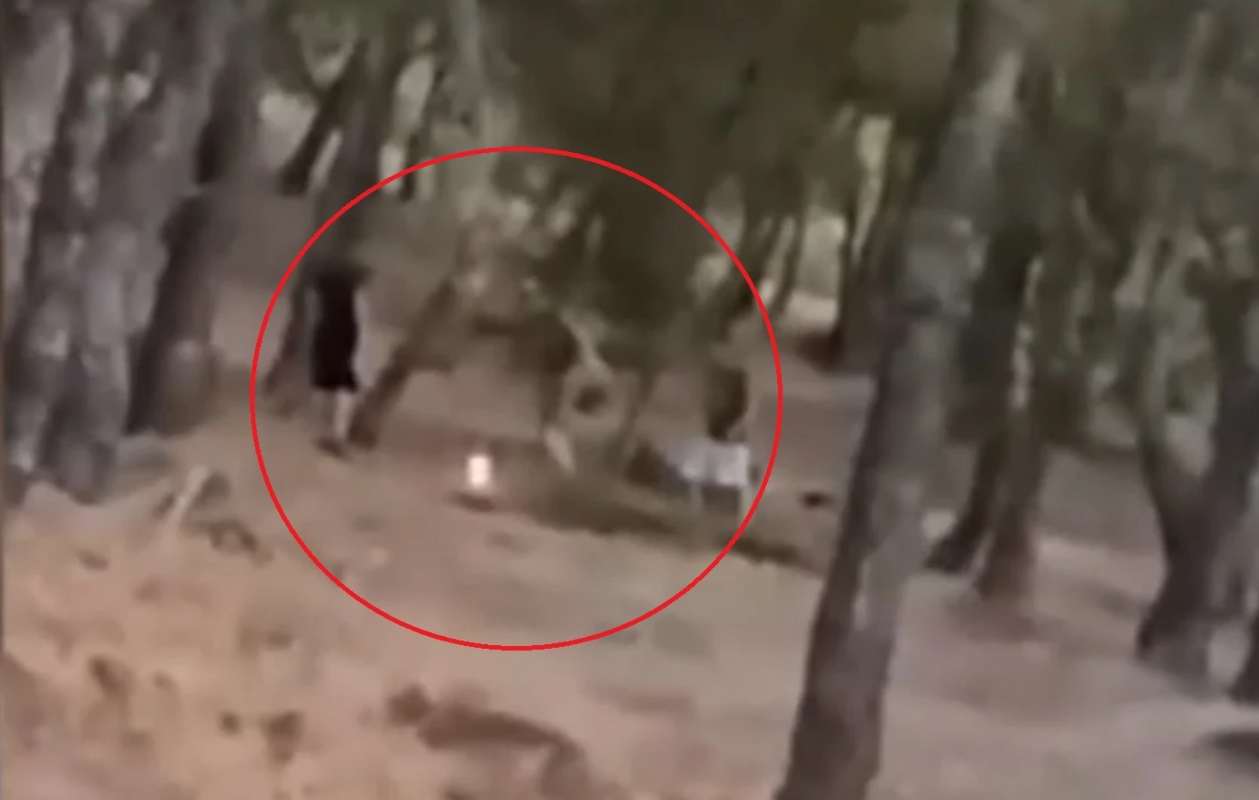 Τρομακτικό challenge ανηλίκων στα Βριλήσσια: Βάζουν φωτιά και μετά προσπαθούν να τη σβήσουν [vid]