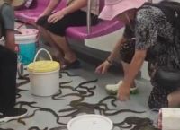 Κίνα: Δεκάδες χέλια ξεχύθηκαν σε βαγόνι του μετρό