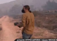 Δημοσιογράφος διέκοψε το live από τη φωτιά στο Κουβαρά για να σώσει χελώνα από τις φλόγες [vid]