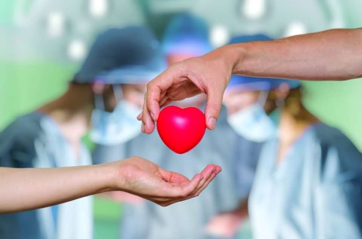 ΕΟΜ: Καμία απώλεια μοσχεύματος λόγω έλλειψης αίματος