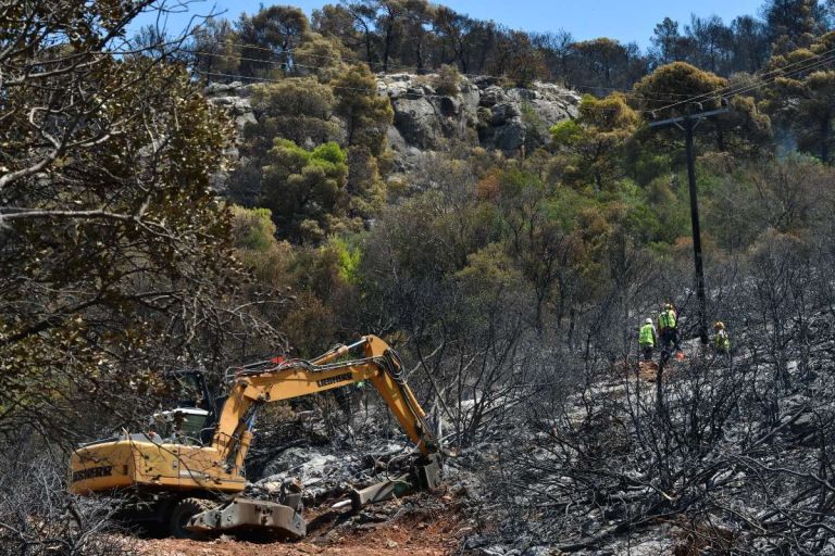 Σοκ για την Αττική: Το 42% των δασών έχει καταστραφεί από πυρκαγιές την τελευταία δεκαετία