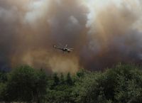 Φωτιές σε Βοιωτία και Αττική: Συνελήφθη δήμαρχος – Στο μικροσκόπιο η κατασκευαστική εταιρεία του