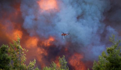 Πύρινος εφιάλτης σε Πόρτο Γερμενό, Φωκίδα και Φθιώτιδα – Μάχη με τις φλόγες και τους θυελλώδεις ανέμους