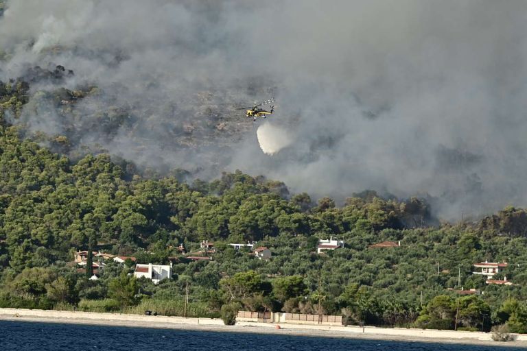 Δύο συλλήψεις για εμπρησμούς σε Αττική και Εύβοια