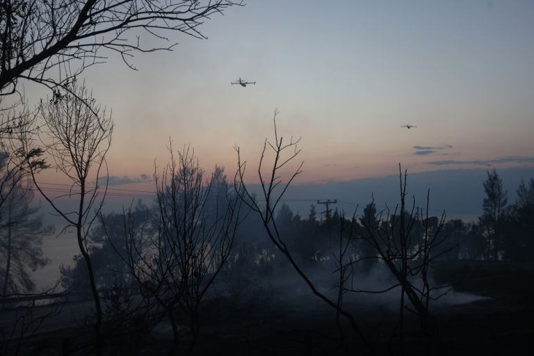 Φωτιά στη Χαλκιδική: Ο καπνός έφτασε μέχρι τη Λάρισα – Τι αποκαλύπτουν οι δορυφορικές εικόνες