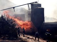 Φωτιά στον Κουβαρά: Υπό έλεγχο η πυρκαγιά, κάηκε πτηνοτροφική μονάδα-Σε επιφυλακή λόγω ισχυρών ανέμων