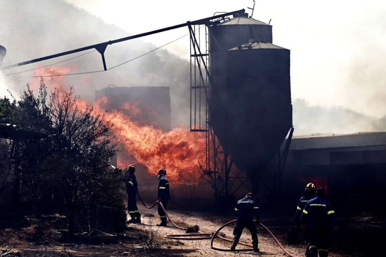Φωτιά στον Κουβαρά: Υπό έλεγχο η πυρκαγιά, κάηκε πτηνοτροφική μονάδα-Σε επιφυλακή λόγω ισχυρών ανέμων