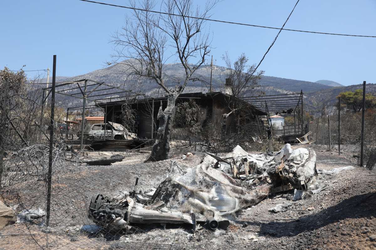 Πόρτο Γερμενό: Ξεκίνησαν οι αυτοψίες στις πυρόπληκτες περιοχές