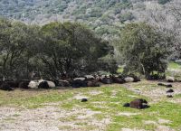 ΑΑΔΕ: Άνοιξε η εφαρμογή Transpay για τις πληρωμές αγροτικών ενισχύσεων