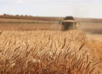 Τέσσερις πόλεμοι, μία διατροφική βόμβα – Πώς χτίζεται η επόμενη παγκόσμια κρίση τροφίμων