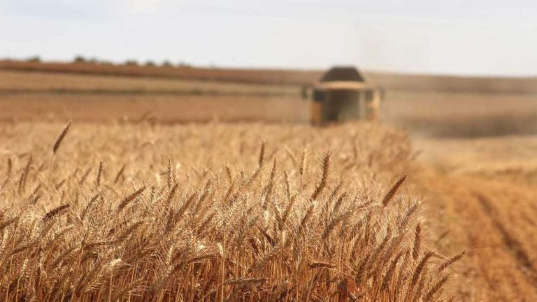 Τέσσερις πόλεμοι, μία διατροφική βόμβα – Πώς χτίζεται η επόμενη παγκόσμια κρίση τροφίμων