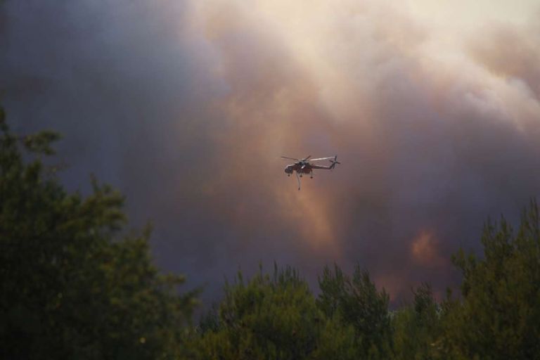 Αποκαλυπτικό βίντεο από το «σημείο μηδέν» της φωτιάς στη Βοιωτία [vid]