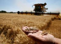 Ukraine’s Grain Trap: Russian Missiles, European Protectionism and a Drying Danube