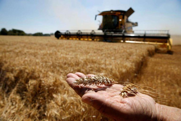 Ukraine’s Grain Trap: Russian Missiles, European Protectionism and a Drying Danube