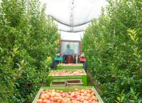 Europe’s Fruit Map Is Shifting: Greece Faces a New Battle Over Water, Climate and Competitiveness